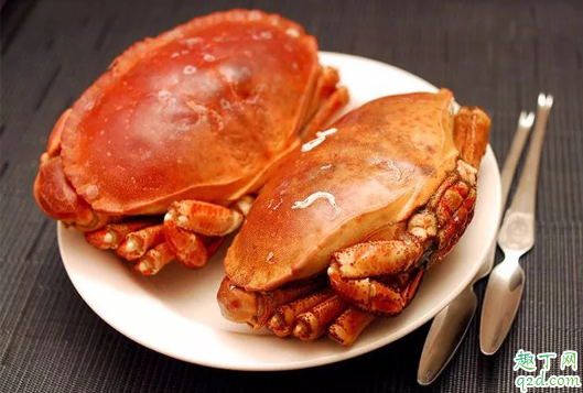 螃蟹|海螃蟹死了可以放冰箱吗 海螃蟹死了怎么储藏
