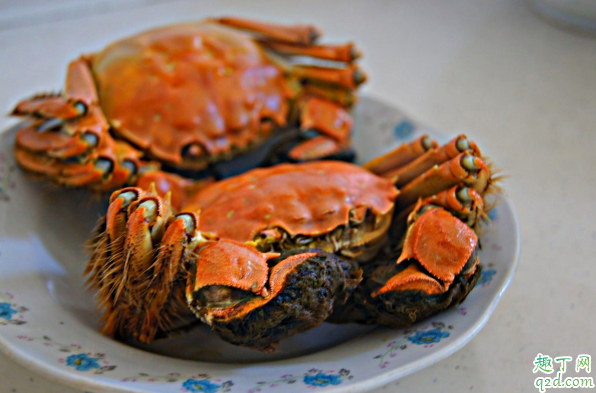 吃剩下的螃蟹怎么放 螃蟹吃不完怎么处理1