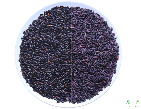 紫米是黑米吗 怎么看紫米是不是染色了2