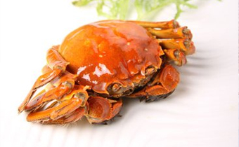 大闸蟹和梭子蟹哪个好吃 大闸蟹和梭子蟹味道有什么不同