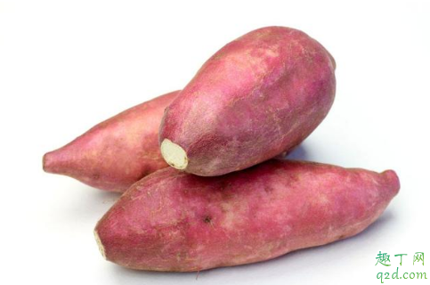 红薯|红薯是一整个种还是切块种 种了个红薯什么时候可以吃