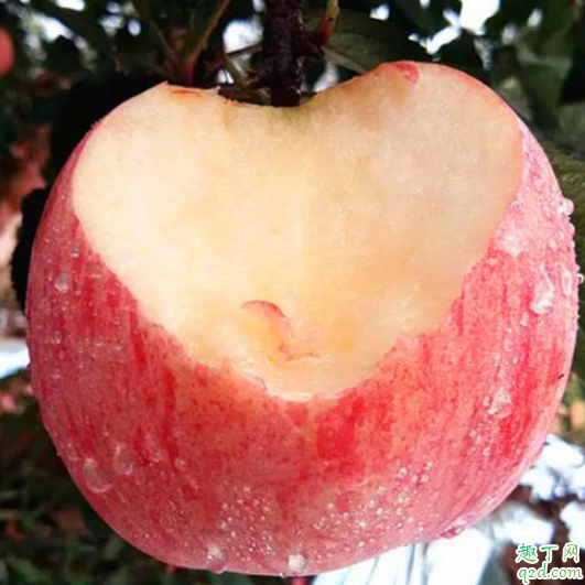 苹果果蜡怎么去除 水果上的蜡能吃吗4