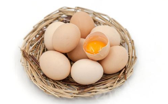 毛蛋比鲜鸡蛋有营养吗 毛蛋有营养还是鸡蛋有营养