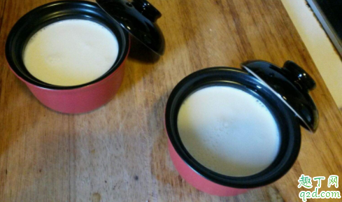 发酵酸奶的乳酸菌可以直接吃吗 为什么喝了自制酸奶肚子疼3