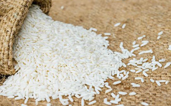 糯米和粘米是一种米吗 糯米和粘米区别在哪