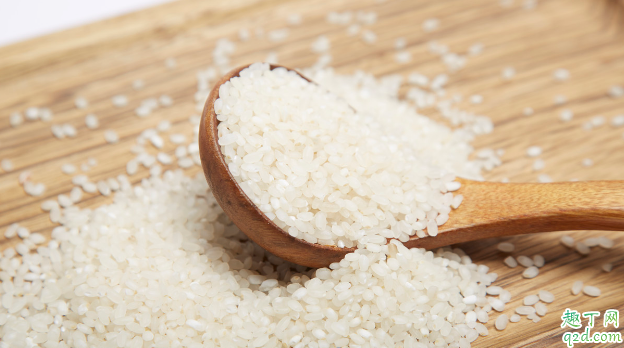 粳米是大米吗 粳米和大米的区别在哪1