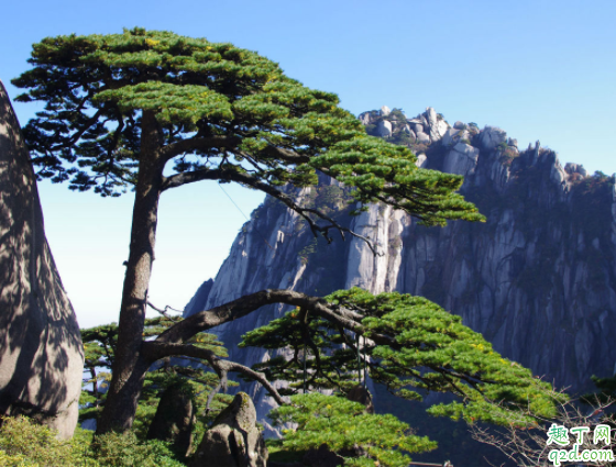 徒步登黃山前山好還是后山好 黃山全程徒步走完要多久1