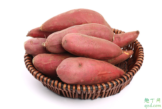 红薯为什么放一段时间会更甜 放久的红薯为什么比新鲜的红薯甜3