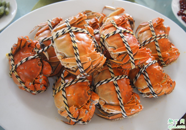 螃蟹|螃蟹放冰箱可以放几天不死 螃蟹怎么放冰箱保存