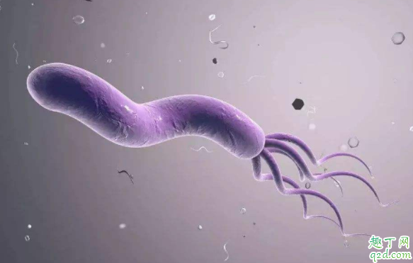 幽门螺杆菌|幽门螺杆菌抽血能查出来吗 查幽门螺杆菌怎么查