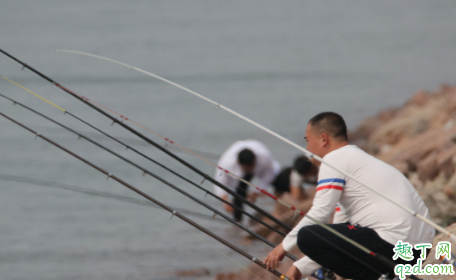 钓鱼竿是不是越硬越好 硬尾漂和软尾漂哪个最常用4