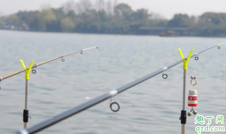 钓鱼竿是不是越硬越好 硬尾漂和软尾漂哪个最常用2