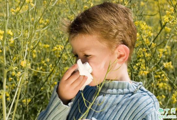 孩子咳嗽有痰是什么病症 孩子咳嗽能吃止咳药吗4