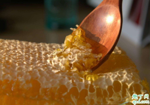 土蜂蜜是什么蜜 真正的土蜂蜜怎么鉴别3