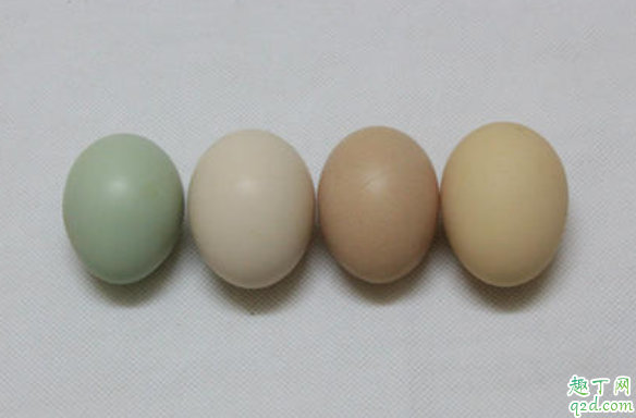 煮熟的鸡蛋壳可以当肥料吗 养兰花可以放鸡蛋壳吗4