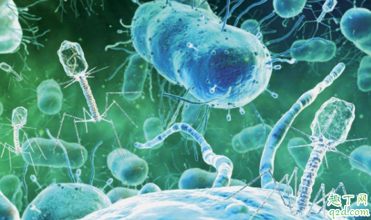 幽门螺杆菌感染会出现哪些症状 胃病是因为幽门螺杆菌吗3