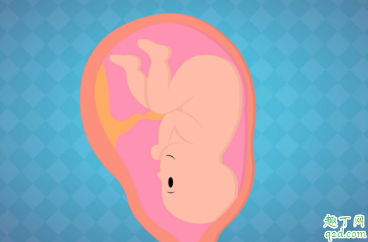 胎儿抖动是在干什么 胎儿抖动是不是缺氧4