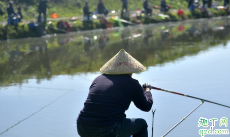 野釣用拉餌釣鯽魚(yú)要不要打窩 野釣鯽魚(yú)打窩有什么技巧1