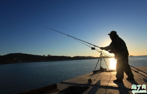 冬至钓鱼应该选择什么样的地方 冬至钓鱼用什么饵料最好3