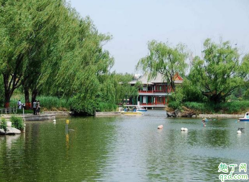 北京龙潭公园需要身份证吗 北京老年卡能去龙潭湖公园吗3