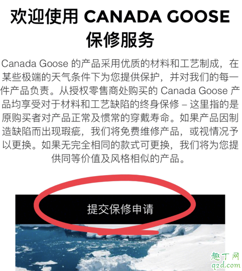 白色加拿大鹅脏了怎么办 中国哪里能洗加拿大鹅4