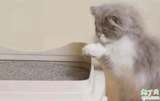 猫砂盆猫砂多少合适 怎么给猫铲猫砂4