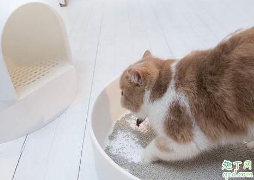 全自动猫砂盆怎么样 封闭式猫砂盆防臭吗4