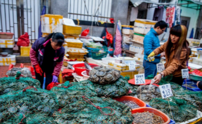 武汉华南海鲜市场在哪里 华南海鲜市场坐几号线可以到