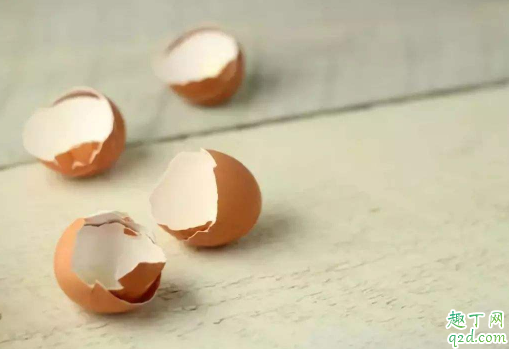 鸡蛋壳没处理能养花吗 鸡蛋壳用来养花正确的做法3