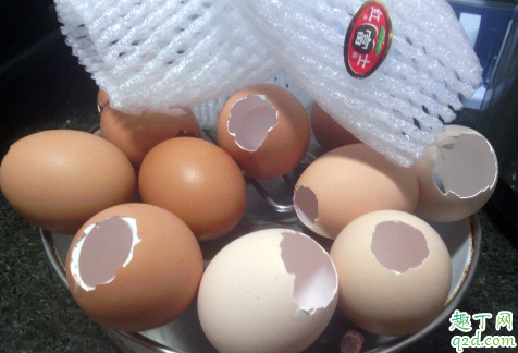 鸡蛋壳和橘子皮可以一起泡水沤肥吗 鸡蛋壳做肥料适用于哪些花卉2
