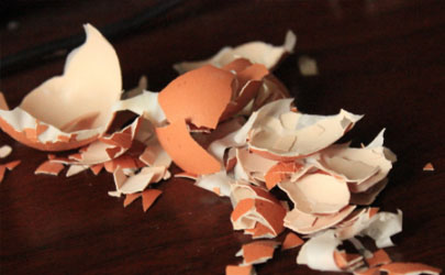 鸡蛋壳和橘子皮可以一起泡水沤肥吗 鸡蛋壳做肥料适用于哪些花卉