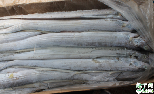 带鱼宽的窄的哪种好吃 带鱼国产的好吃还是进口的好4