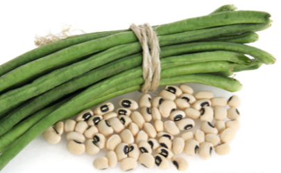 豇豆种植应该如何选种 豇豆为什么要用地膜
