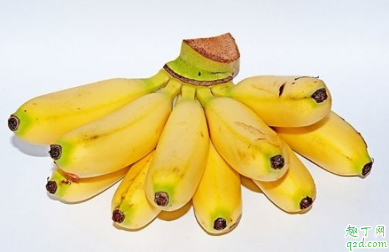 香蕉和芭蕉的营养价值差不多吗 吃芭蕉好还是香蕉好3