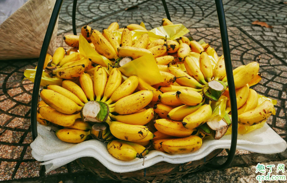 香蕉和芭蕉的营养价值差不多吗 吃芭蕉好还是香蕉好2