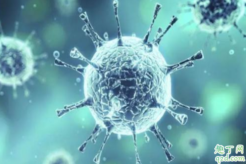 新型冠状病毒可以在空气中存活吗 新型冠状病毒在空气中可以存活多久3