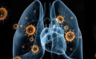 新型冠状病毒可以在空气中存活吗 新型冠状病毒在空气中可以存活多久