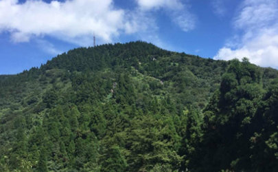 衡山旅游淡季是哪几个月 南岳衡山爬上去要多久
