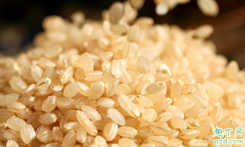 熟糙米和生糙米哪个热量高 糙米减肥效果怎么样1