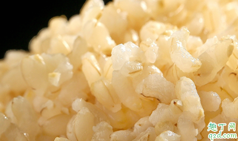 熟糙米和生糙米哪个热量高 糙米减肥效果怎么样4