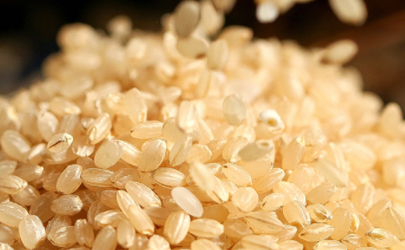 熟糙米和生糙米哪个热量高 糙米减肥效果怎么样
