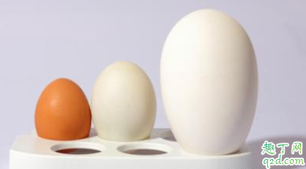 孕期吃鹅蛋可以预防黄疸吗 孕妇可以用陈艾煮鹅蛋吃吗 3