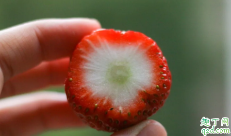 抖音炼乳草莓怎么做 网红草莓炼乳冻做法教程4