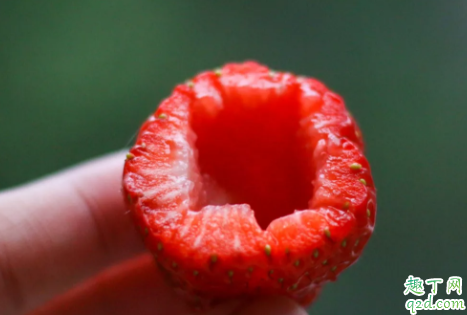 抖音炼乳草莓怎么做 网红草莓炼乳冻做法教程5