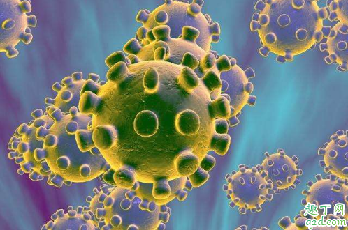 新型冠状病毒可以通过皮肤进入人体吗 皮肤接触病毒会感染吗3