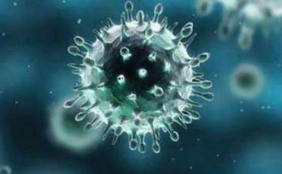 新型冠状病毒会通过尿液传播吗 尿液会传染新型冠状病毒
