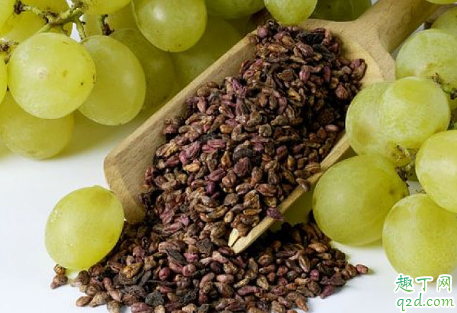 葡萄籽长期使用对身体有害吗 食用葡萄籽的禁忌有哪些1