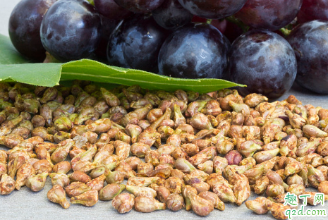 葡萄籽长期使用对身体有害吗 食用葡萄籽的禁忌有哪些3