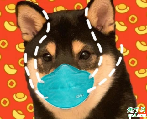 疫情期间可以在小区遛狗吗 疫情期间狗出门要戴口罩吗4