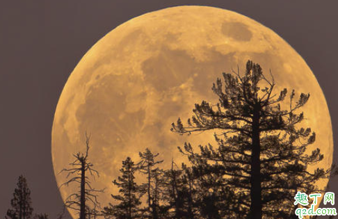 4月8日将出现年度最大满月是真的吗 2020年超级月亮时间1